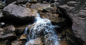 郴州 莽山国家森林公园 自驾