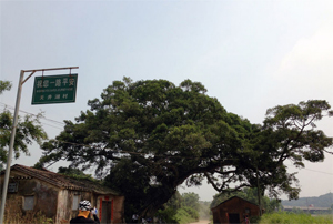 大亚湾,巽寮湾,双月湾游