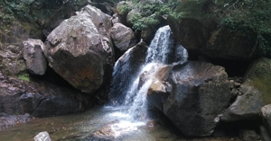 郴州 莽山国家森林公园 自驾