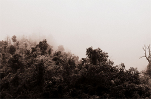 【路途·2011】风雪莽山。