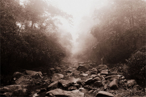 【路途·2011】风雪莽山。