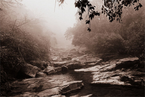 【路途·2011】风雪莽山。