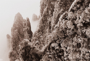 【路途·2011】风雪莽山。