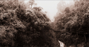 【路途·2011】风雪莽山。