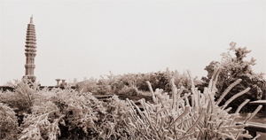 【路途·2011】风雪莽山。