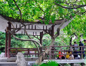 初夏の回忆——惠州