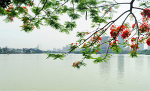 初夏の回忆——惠州