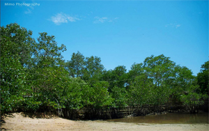 初夏の回忆——惠州