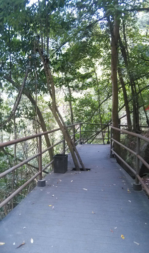 郴州 莽山国家森林公园 自驾