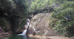 郴州 莽山国家森林公园 自驾