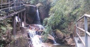 郴州 莽山国家森林公园 自驾