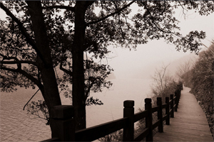 【路途·2011】冬日，一个人的郴州。