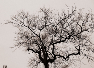 【路途·2011】冬日，一个人的郴州。