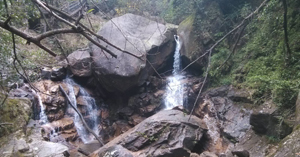 郴州 莽山国家森林公园 自驾