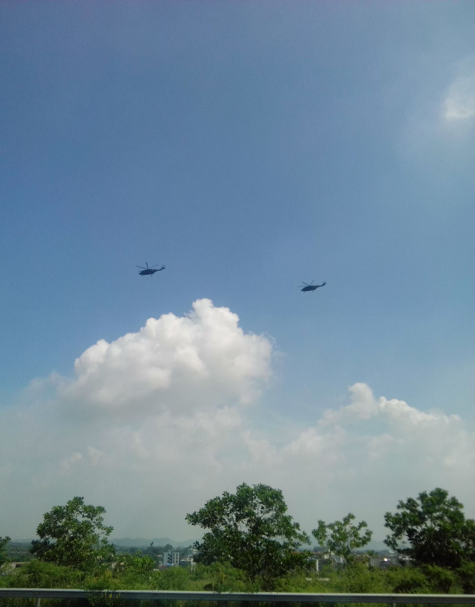 巽寮湾不成便调侃海龟与心动的金沙湾