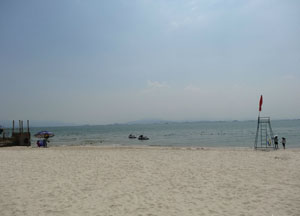 巽寮湾不成便调侃海龟与心动的金沙湾