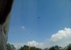 巽寮湾不成便调侃海龟与心动的金沙湾