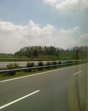 巽寮湾不成便调侃海龟与心动的金沙湾