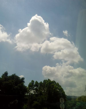 巽寮湾不成便调侃海龟与心动的金沙湾