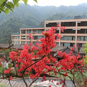 四月·莽山采花行