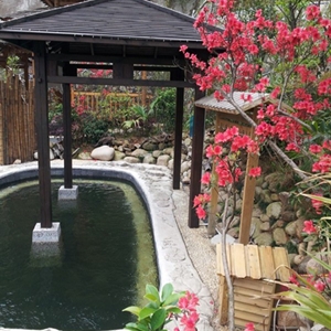 四月·莽山采花行